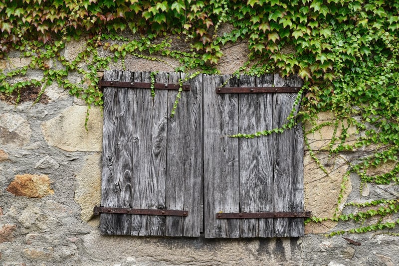 Rustic Elegance